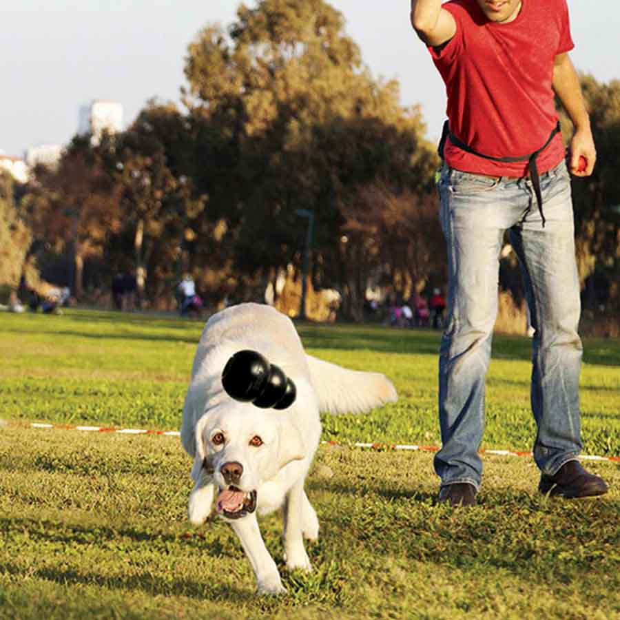 Dog Toy KONG Extreme Small Black