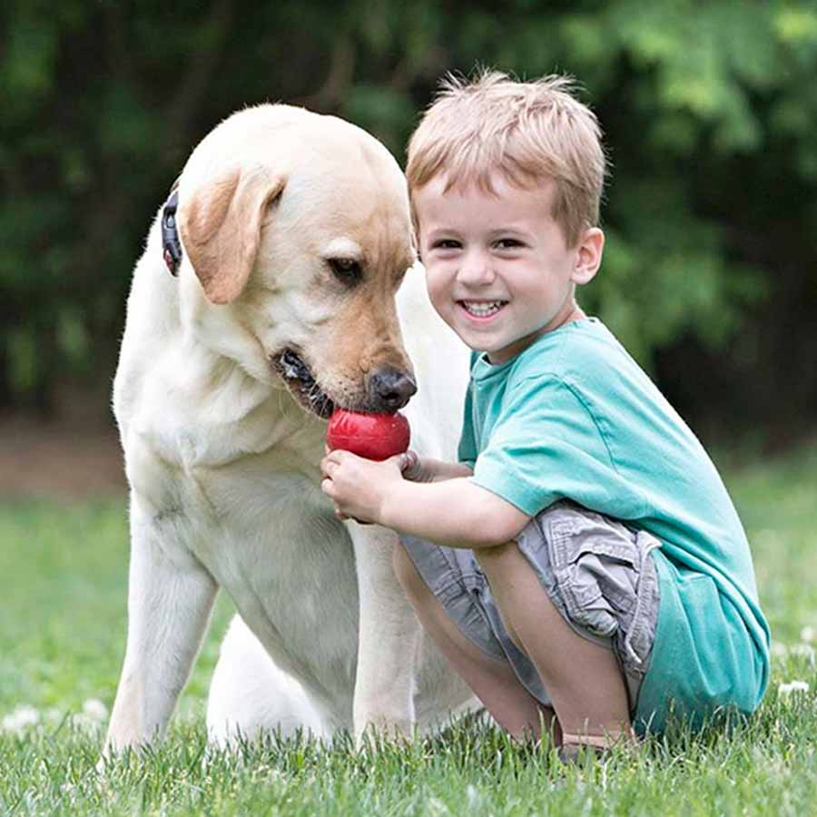 Dog Toy KONG Classic X-Small Red