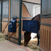 Box Stop Short Navy Blue Box Stop Short Navy Blue