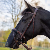 Nose Net Mesh Black Nose Net Mesh Black