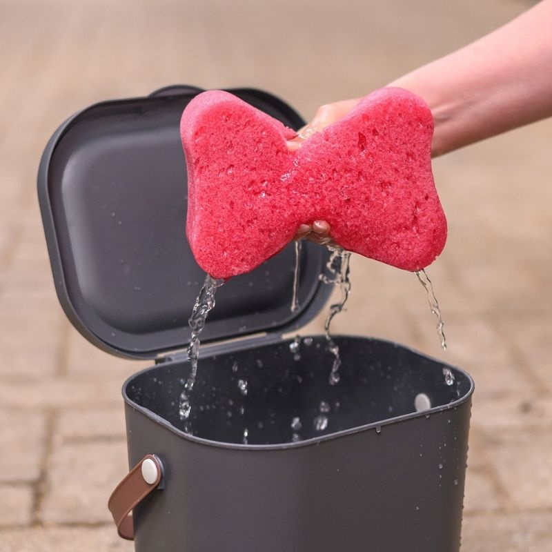 Sponge Pink
