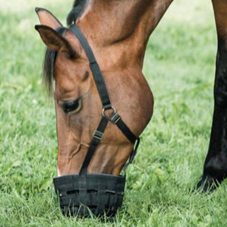 Grazing Muzzle HG Black