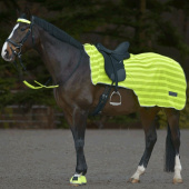 Reflective Rug Neon Stripes Yellow Reflective Rug Neon Stripes Yellow