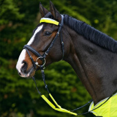 Bridle Reflector Set 3-pack Yellow Bridle Reflector Set 3-pack Yellow