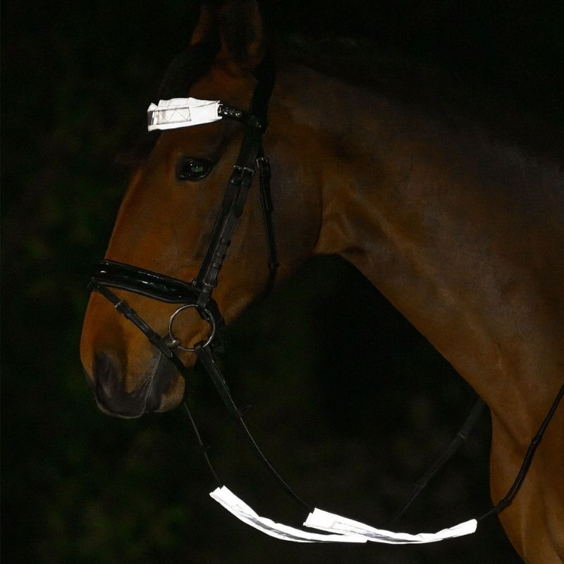 Bridle Reflector Set 3-pack Silver
