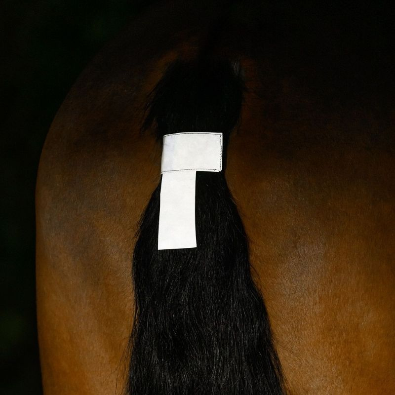 Tail Cord Reflector Silver