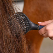 Mane & Tail Brush Gel Black Mane & Tail Brush Gel Black