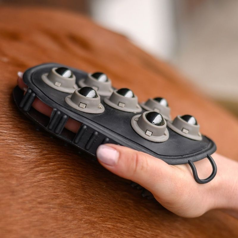 Grooming Brush Massage Black