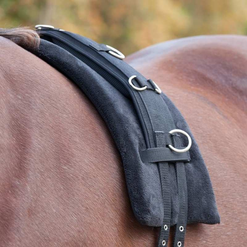 Lunging Girth Pad Memory Foam Black