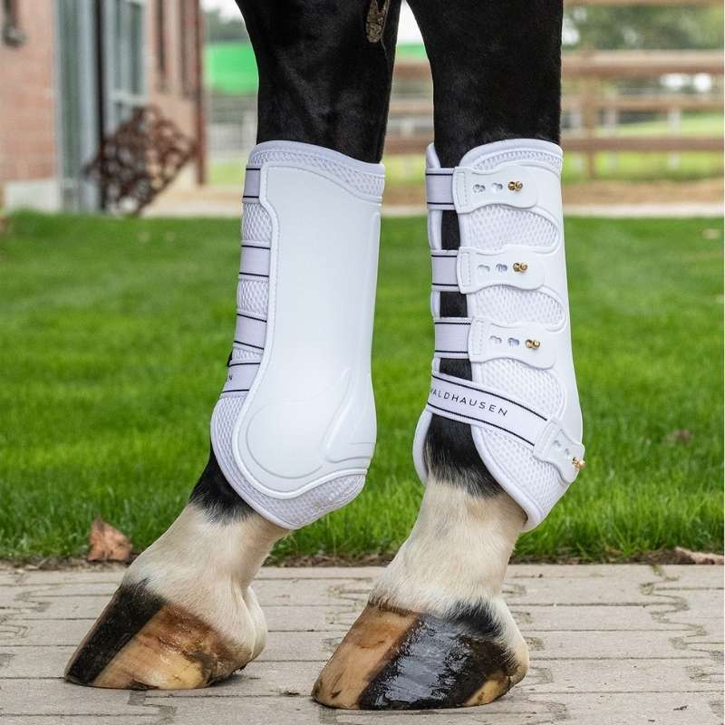 Dressage Boots Breath White