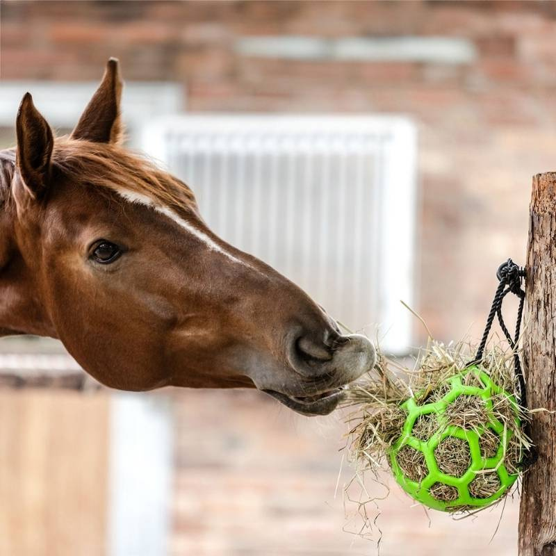 Hay Ball Flexible Green