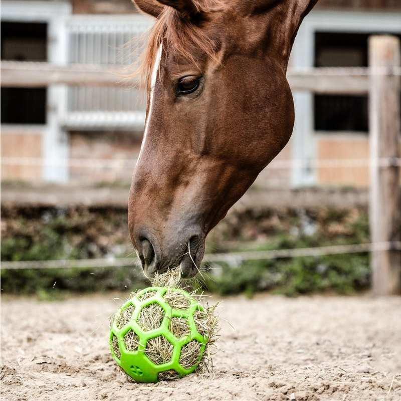 Hay Ball Flexible Green
