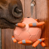 Horse Toy Carrot Ball Pink Horse Toy Carrot Ball Pink