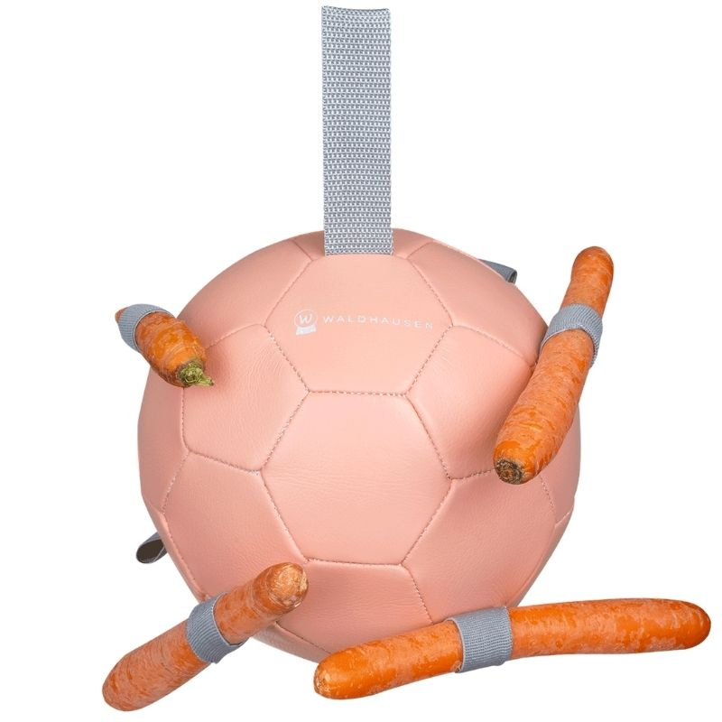 Horse Toy Carrot Ball Pink