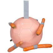 Horse Toy Carrot Ball Pink Horse Toy Carrot Ball Pink