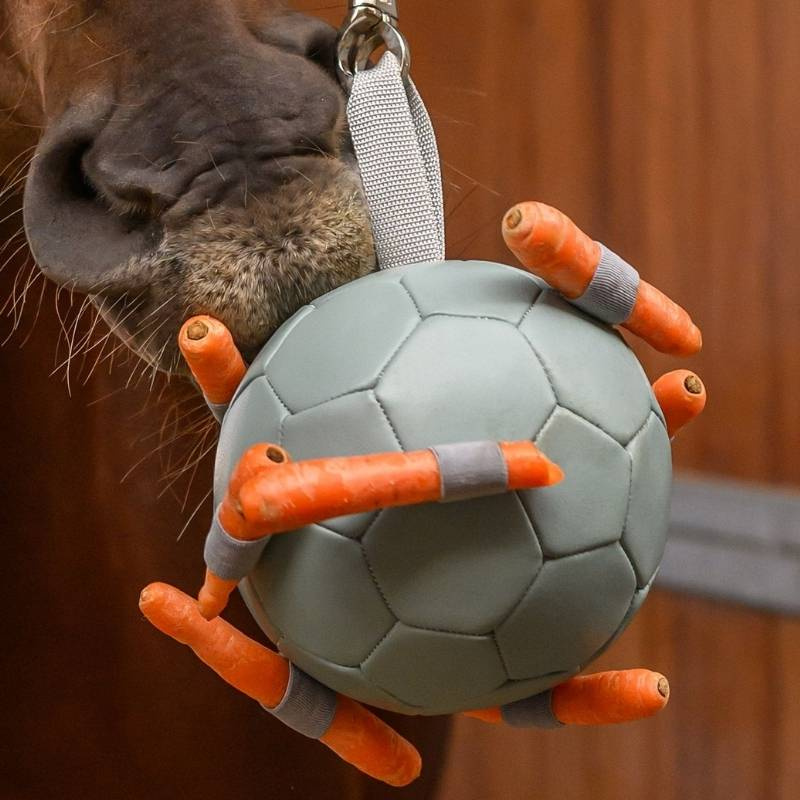 Horse Toy Carrot Ball Green
