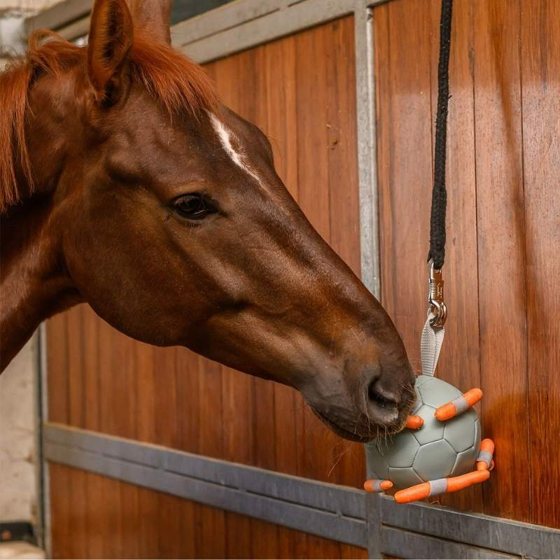Horse Toy Carrot Ball Green