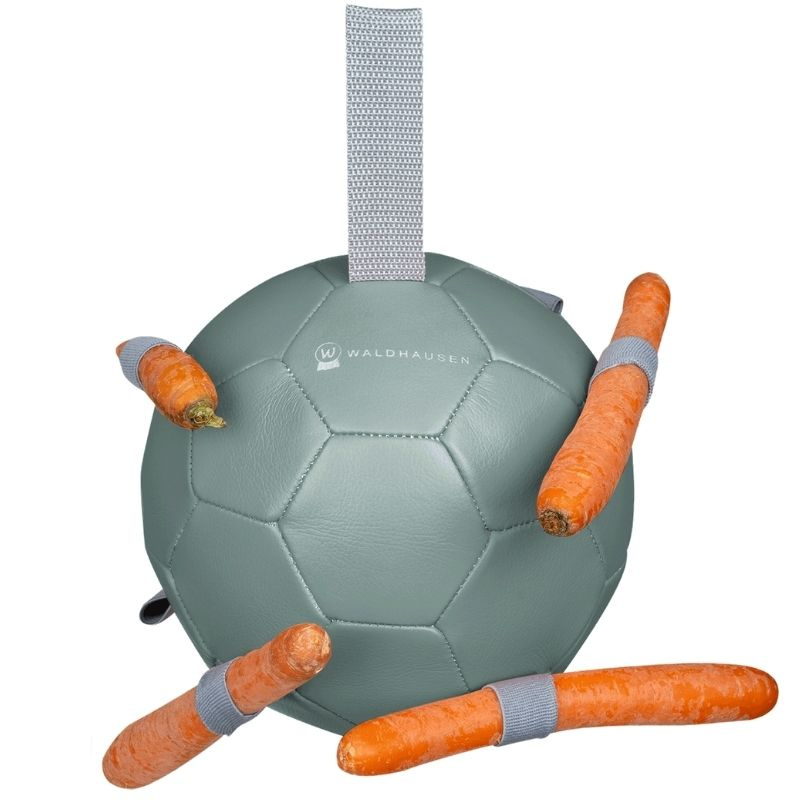 Horse Toy Carrot Ball Green