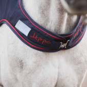 Walking Rug Walker Basic 600D 0g Navy Blue Walking Rug Walker Basic 600D 0g Navy Blue