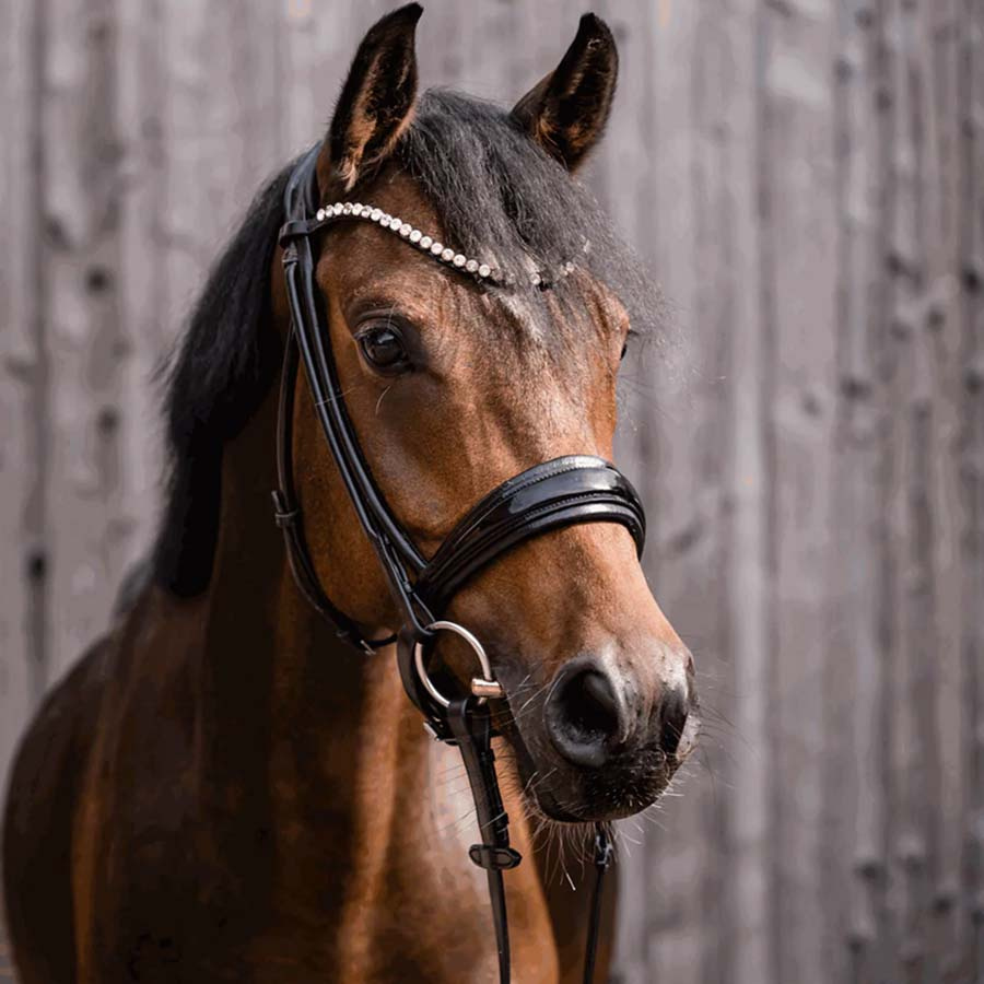 Double Jointed Bit Novocontact Sensogan Ø55mm