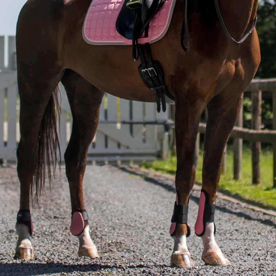 Tendon Boots Neoprene Light Pink