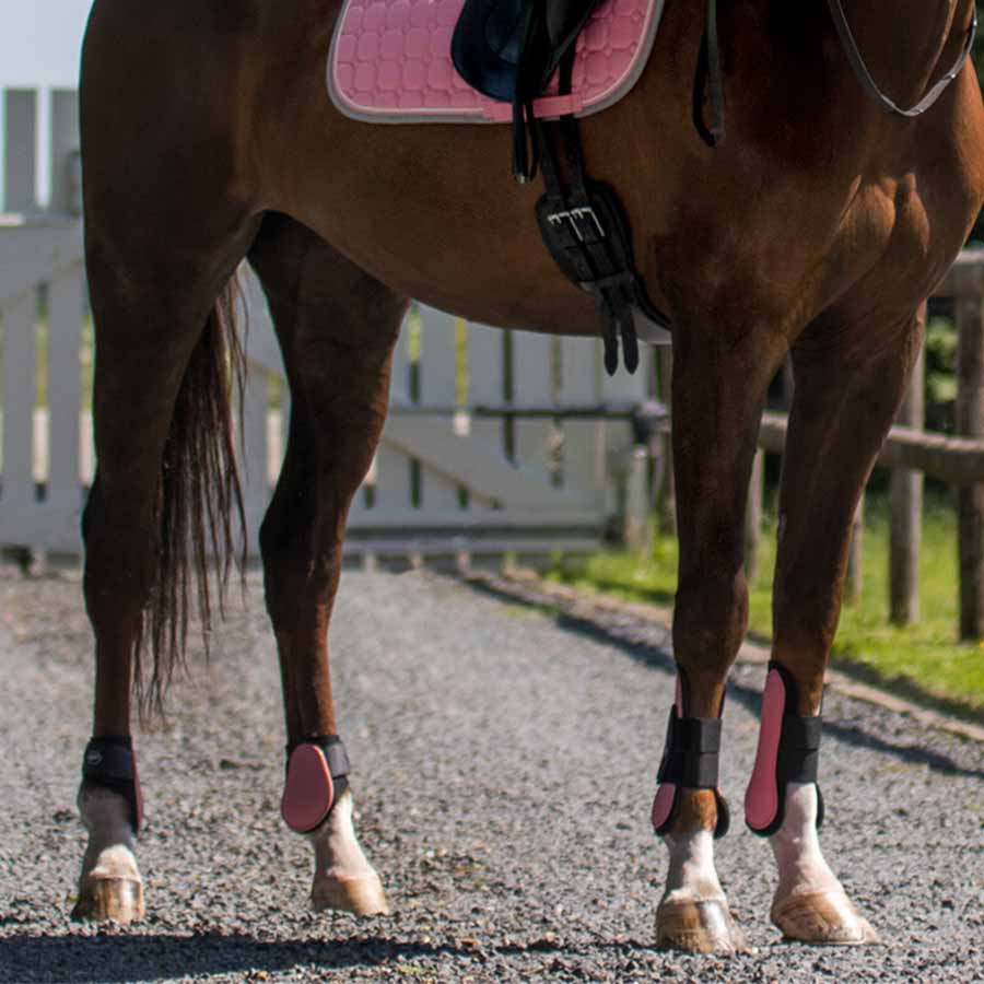 Fetlock Boots Neoprene Light Pink
