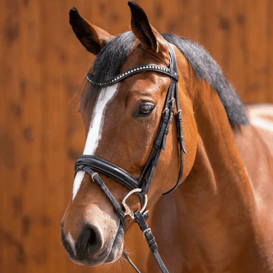 Eggbutt Bit Dynamic RS Sensogan D-Ring Ø65mm