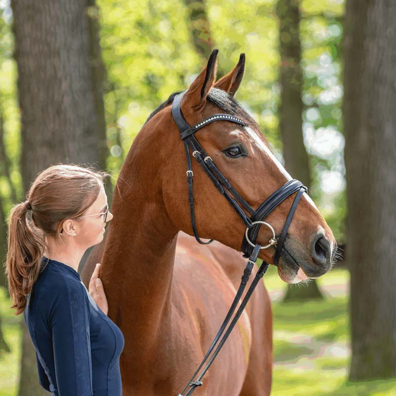 Double Jointed Bit Dynamic RS Sensogan Ø70mm