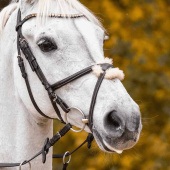 Double Jointed Bit Novocontact Sensogan Ø70mm Double Jointed Bit Novocontact Sensogan Ø70mm