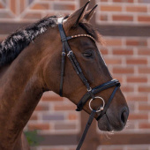 Double Jointed Bit Novocontact Sensogan Ø70mm Double Jointed Bit Novocontact Sensogan Ø70mm