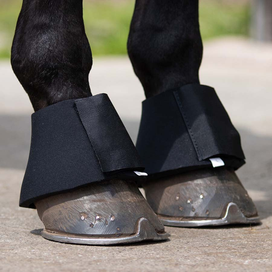 Bell Boots Basic Neoprene Black