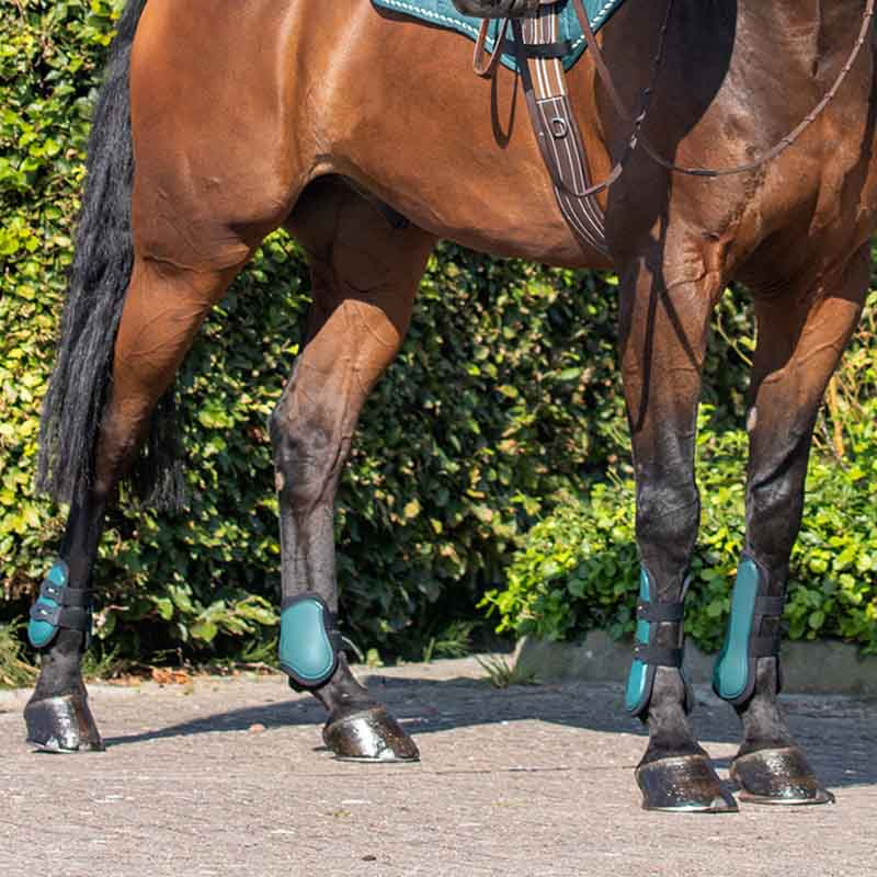 Tendon Boots Quick Pin 4-pack Dark Green