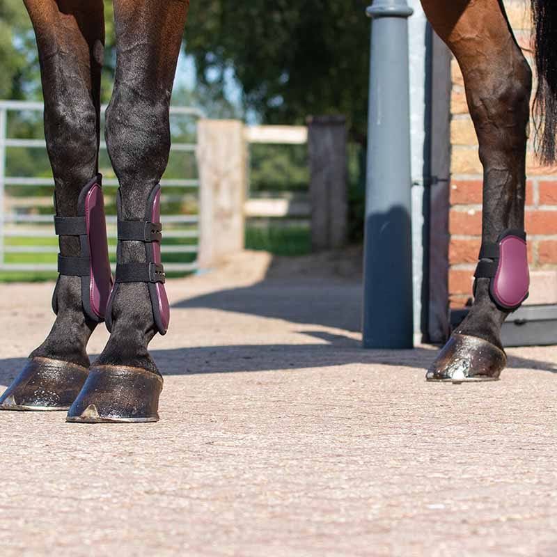 Tendon Boots Quick Pin 4-pack Burgundy