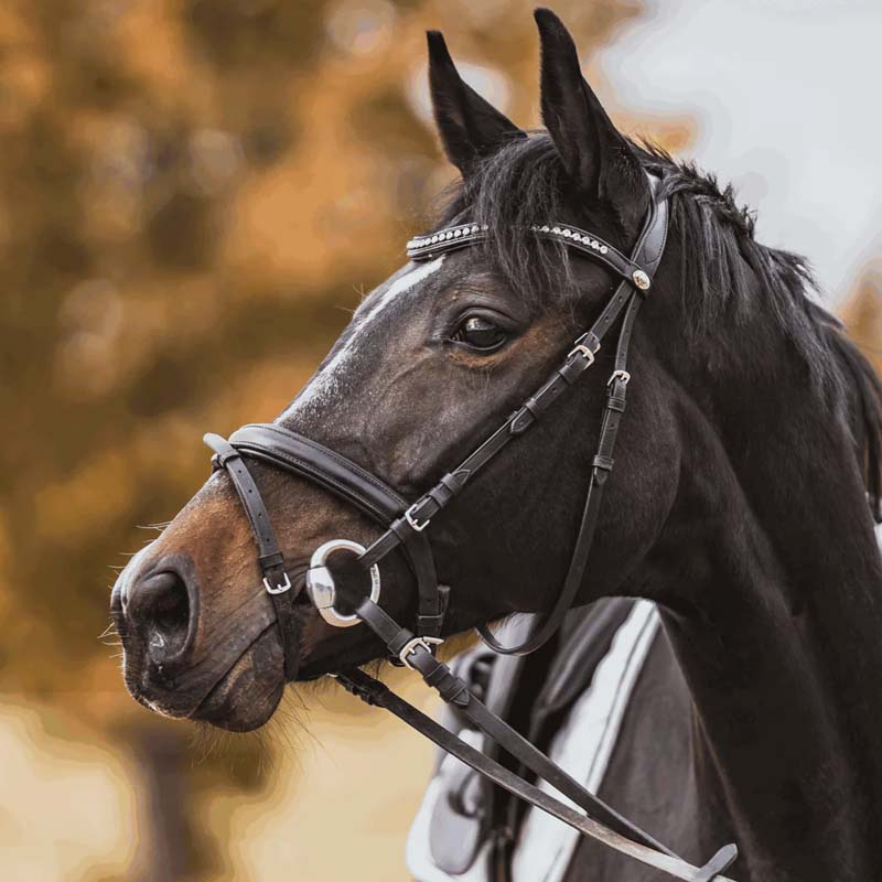 Eggbutt Bit Hard Carbon Mullen Mouth Ø55mm