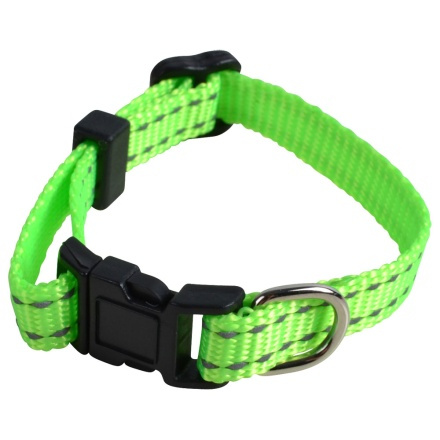 Puppy MITZO Neon Green