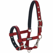 Foal Halter Red Foal Halter Red