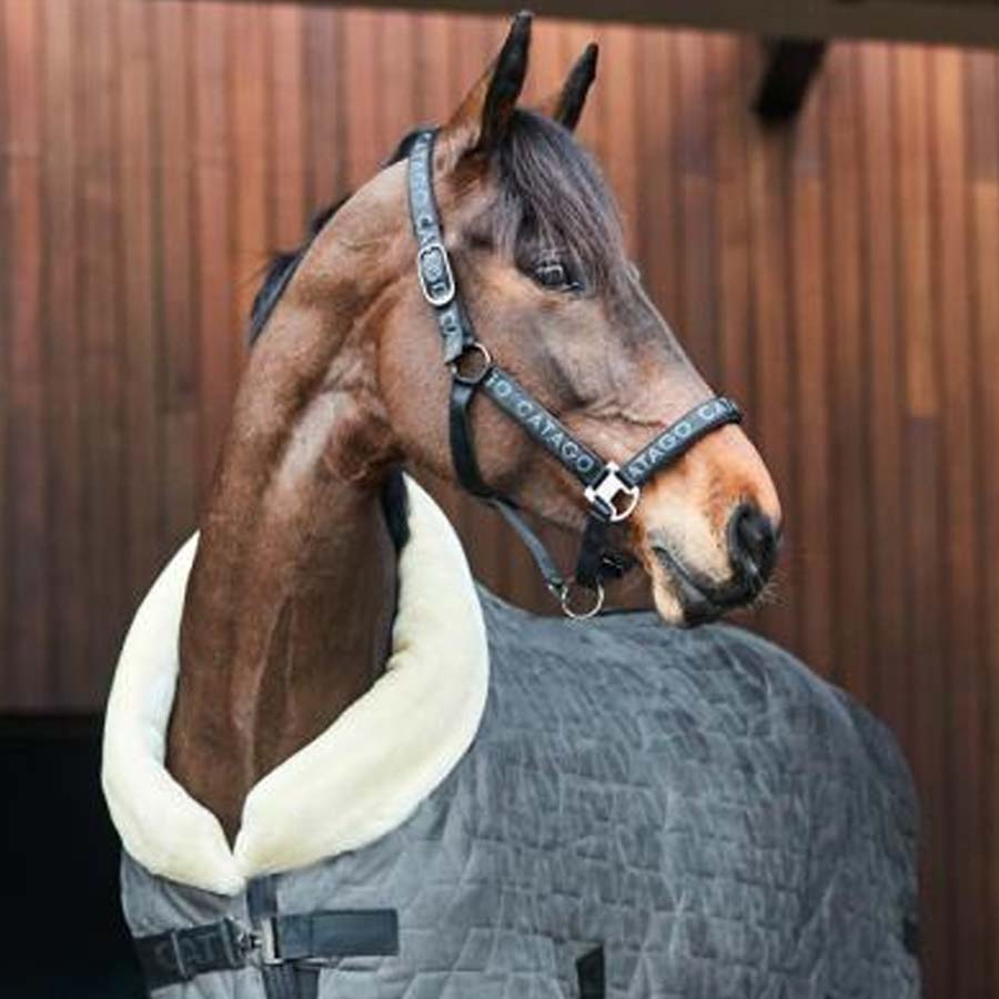 Halter Alea Reflective Black