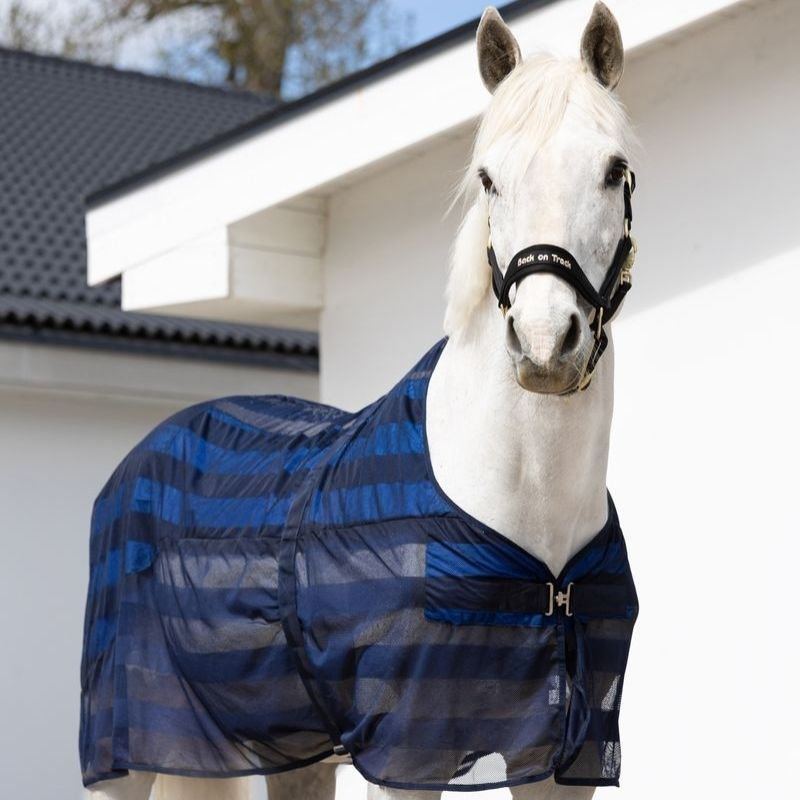 Cooling Rug Cool on Track Blue