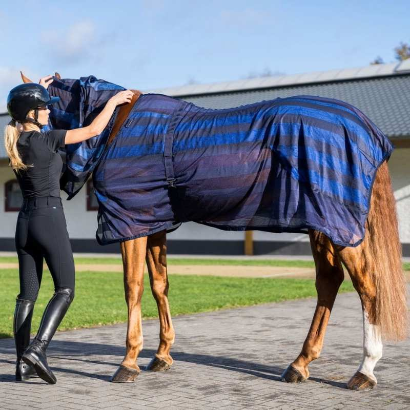 Cooling Rug Cool on Track Blue