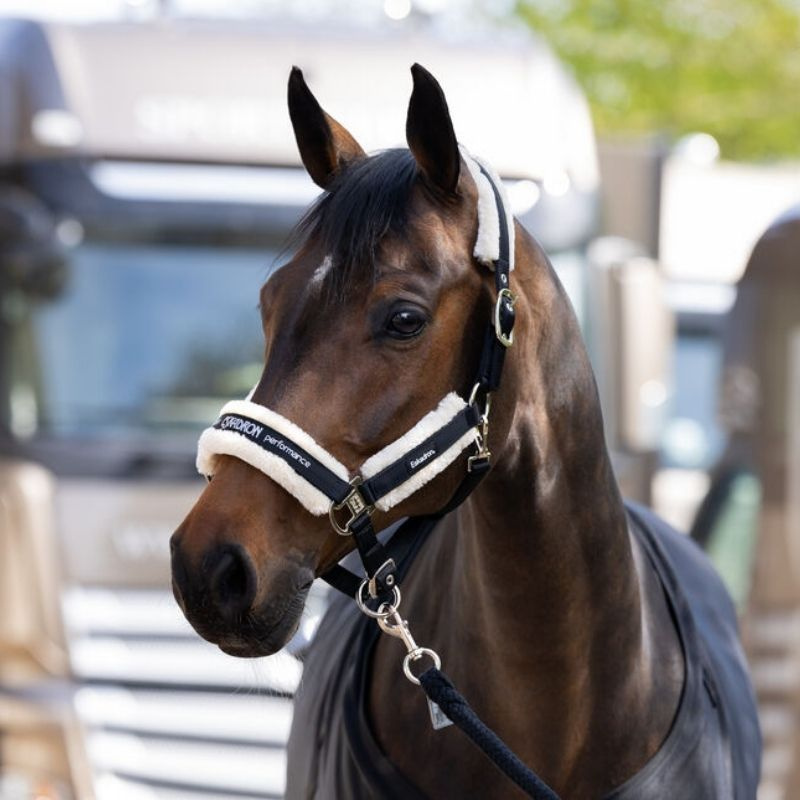 Halter Fauxfur Double Pin Black