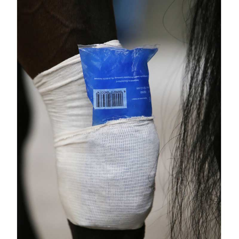 Grip 5m White Leg Protector