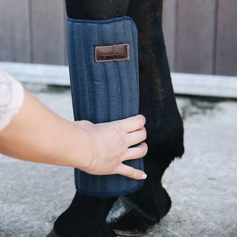 Absorbent Saddle Pads 45 x 30 - 4-pack 0Navy