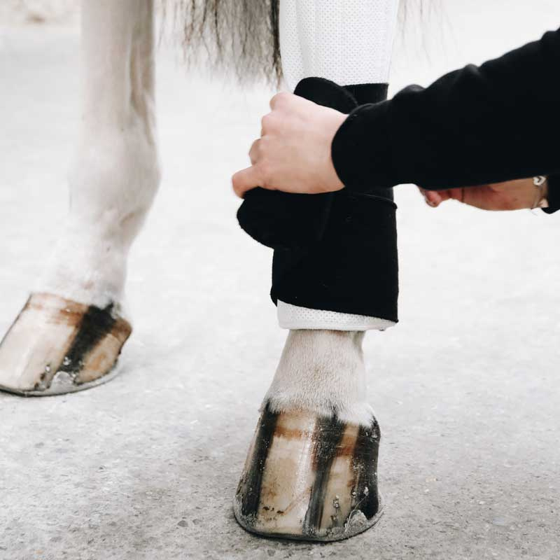 Absorbent Saddle Pads 45 x 30 - 4-pack 0Black/White