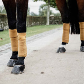 Bandages Polar Fleece Velvet Mustard Bandages Polar Fleece Velvet Mustard