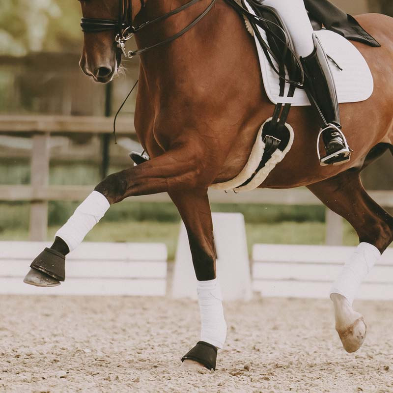 Bandages Polar Fleece Pearls White