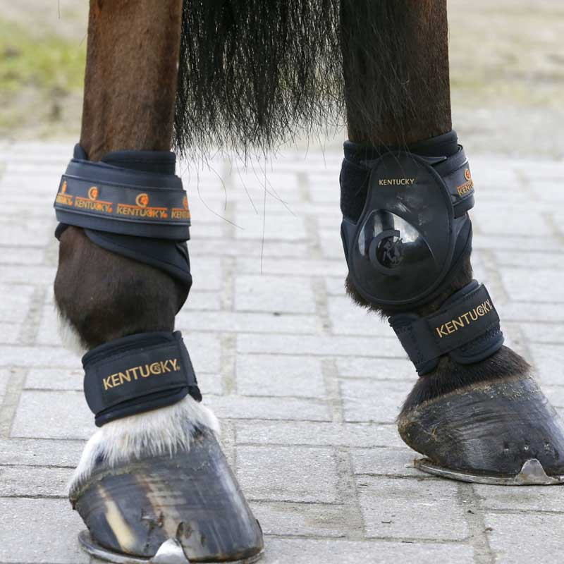 Fetlock Boots Black OneSize