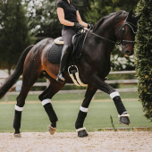 Leg Pads Working Absorb White/Black Leg Pads Working Absorb White/Black