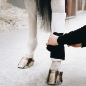 Leg Pads Working Absorb White/Black Leg Pads Working Absorb White/Black