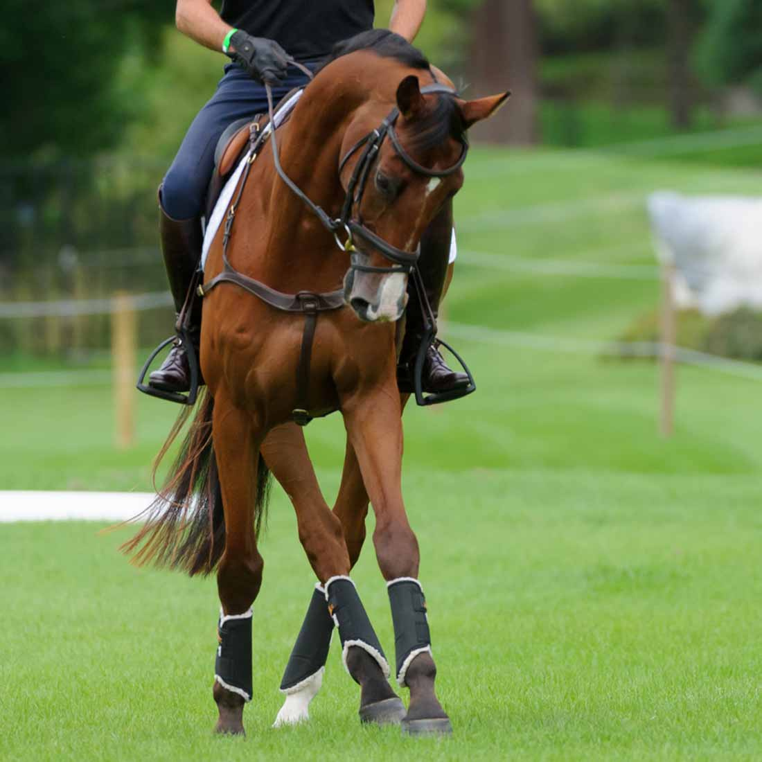 Brushing Boots Solimbra Front Black