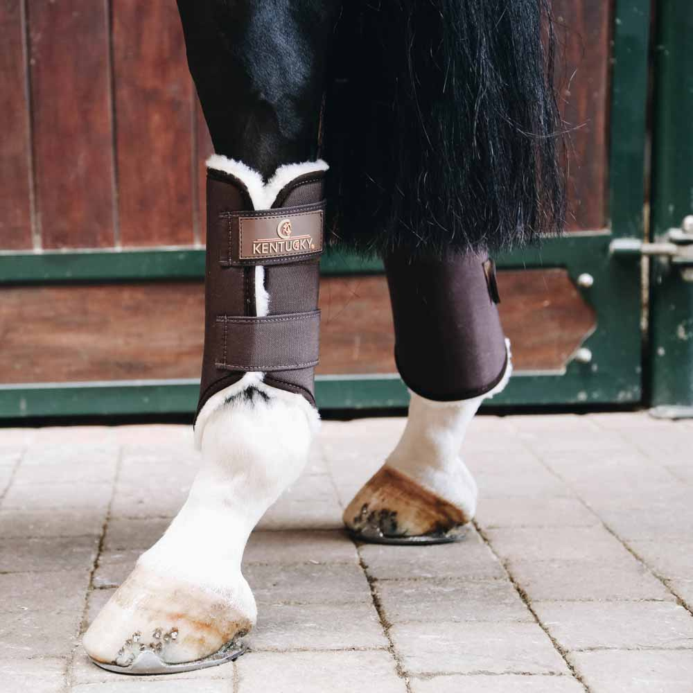 Brushing Boots Solimbra Rear Brown